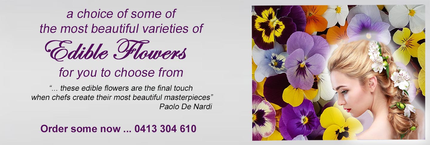 721_edible-Flowers-woman01